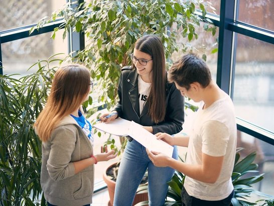 Der Alternativtext wird in Kürze eingefügt